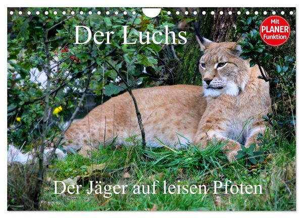 Der Luchs - Der Jäger auf leisen Pfoten (Wandkalender 2026 DIN A4 quer), CALVENDO Monatskalender