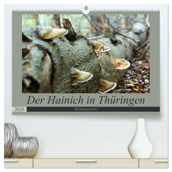 Produktbild: Der Hainich in Th&uuml;ringen - Weltnaturerbe (hochwertiger Premium Wandkalender 2026 DIN A2 quer), Kunstdruck in Hochglanz