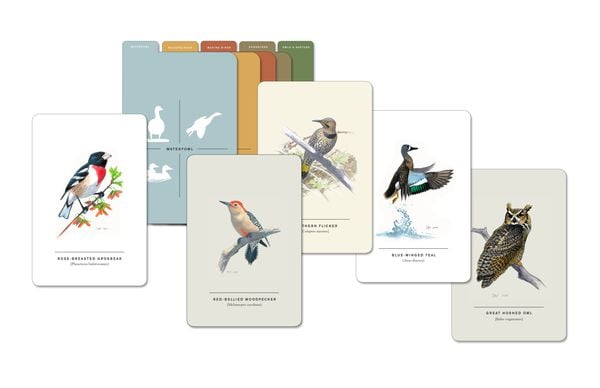 Produktbild: Sibley Birds of Land, Sea, and Sky
