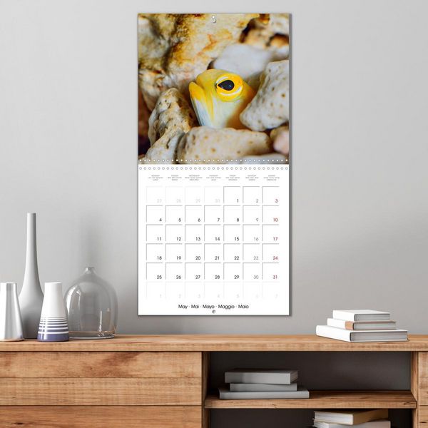 Produktbild: Fish magic (Wall Calendar 2026 12 &times; 12 Inch) CALVENDO 12 Month Wall Calendar