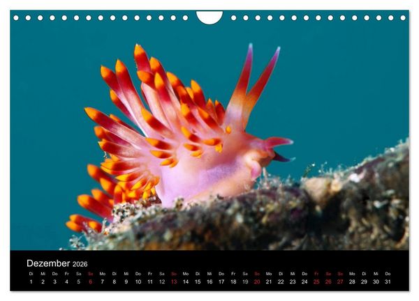 Produktbild: Unterwasser (Wandkalender 2026 DIN A4 quer), CALVENDO Monatskalender