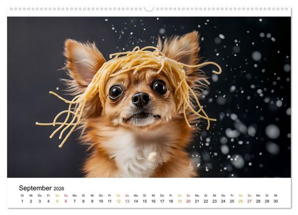Produktbild: Chihuahua - kleine Energieb&uuml;ndel (hochwertiger Premium Wandkalender 2026 DIN A2 quer), Kunstdruck in Hochglanz