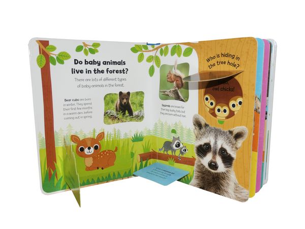 Produktbild: Baby Animals (Little Kids, Big Questions)