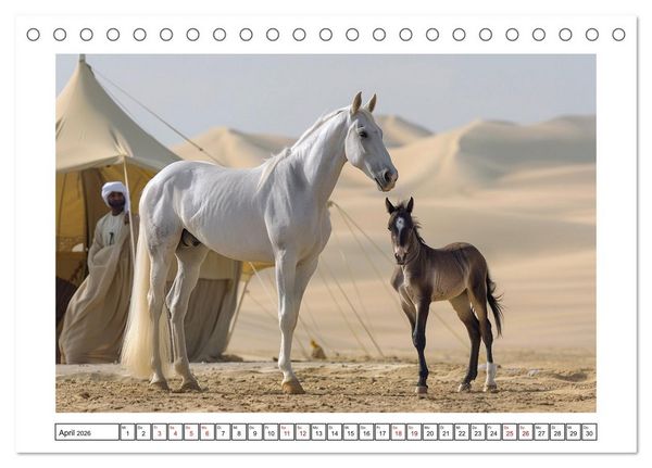 Produktbild: Bezaubernde Eleganz wei&szlig;er Pferde (Tischkalender 2026 DIN A5 quer), CALVENDO Monatskalender