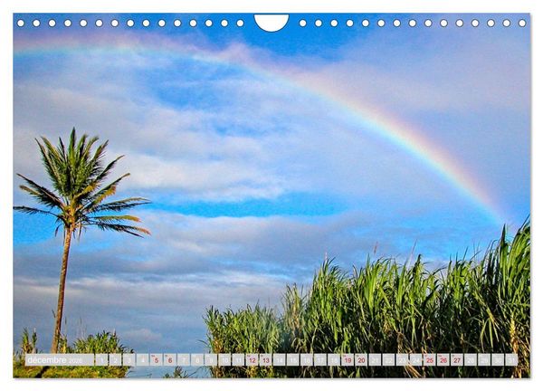 Produktbild: La R&eacute;union, Au centre du volcan (Calendrier mural 2026 DIN A4 vertical), CALVENDO calendrier mensuel