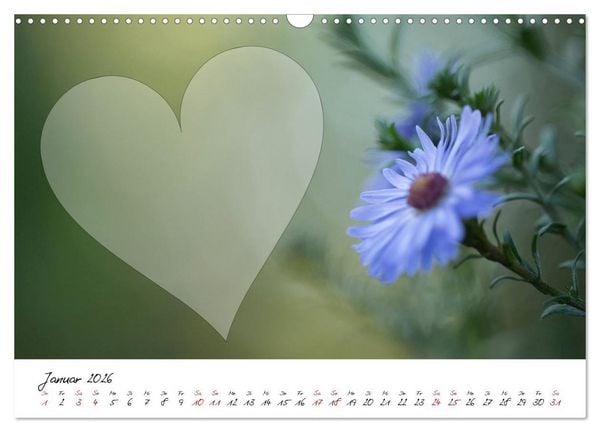 Produktbild: Blauer Bl&uuml;tentraum - Bastelkalender (Wandkalender 2026 DIN A3 quer), CALVENDO Monatskalender