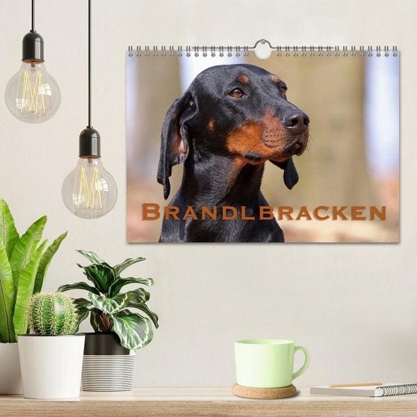 Produktbild: Brandlbracken (Wandkalender 2026 DIN A4 quer), CALVENDO Monatskalender