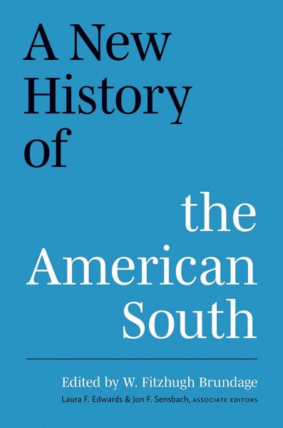 Produktbild: A New History of the American South