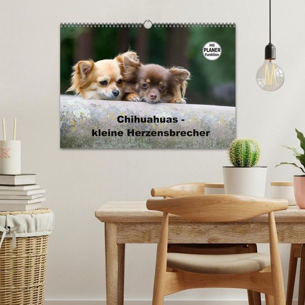 Produktbild: Chihuahuas - kleine Herzensbrecher (Wandkalender 2026 DIN A3 quer), CALVENDO Monatskalender