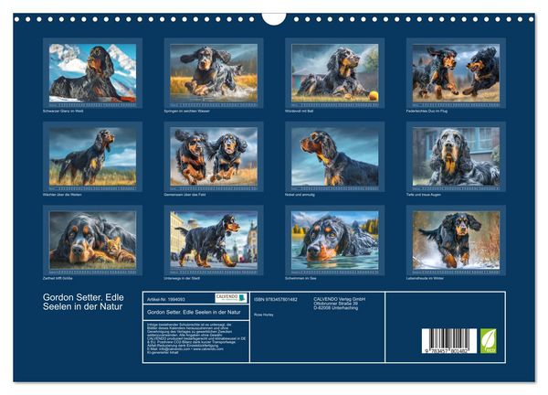 Produktbild: Gordon Setter. Edle Seelen in der Natur (Wandkalender 2026 DIN A3 quer), CALVENDO Monatskalender