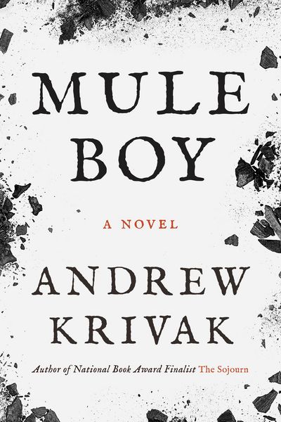 Produktbild: Mule Boy