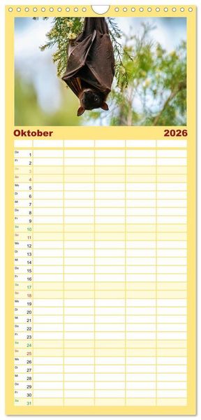Produktbild: Familienplaner 2026 - Flughunde - Meister der Nacht mit 5 Spalten (Wandkalender, 21 x 45 cm) CALVENDO
