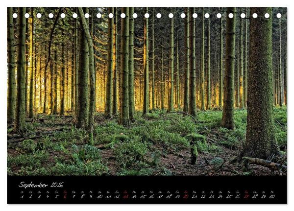 Produktbild: Hochmoor Hohes Venn (Tischkalender 2026 DIN A5 quer), CALVENDO Monatskalender