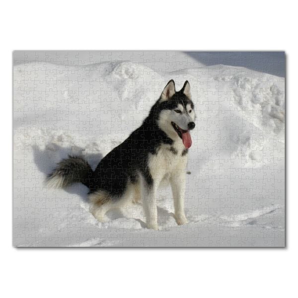 Produktbild: Lais Puzzle Husky 500 Teile