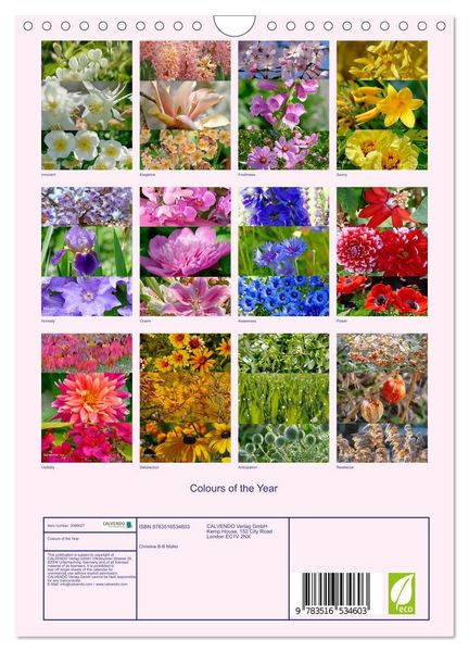 Produktbild: Colours of the Year (Wall Calendar 2026 DIN A4 portrait), CALVENDO 12 Month Wall Calendar