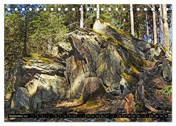Produktbild: Naturwunder Wald (Tischkalender 2027 DIN A5 quer), CALVENDO Monatskalender