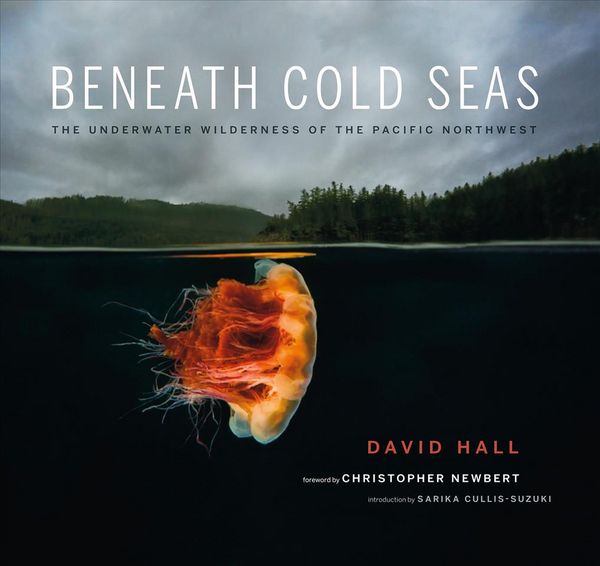 Produktbild: Beneath Cold Seas