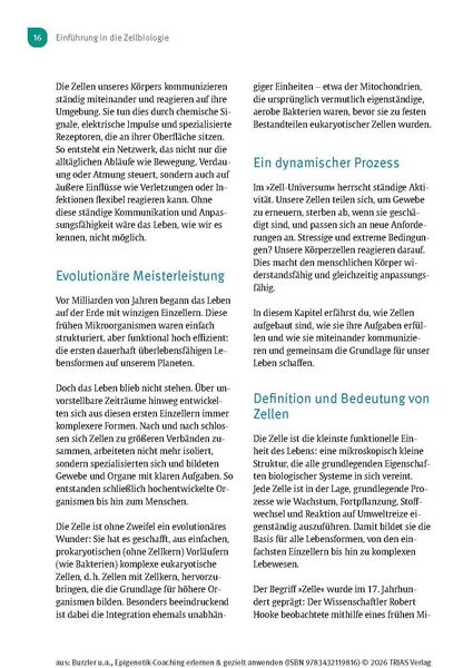 Produktbild: Epigenetik-Coaching erlernen & gezielt anwenden