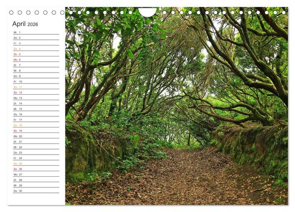 Produktbild: Der Norden von Teneriffa (Wandkalender 2026 DIN A4 quer), CALVENDO Monatskalender