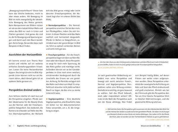 Produktbild: Pferde stilvoll fotografieren