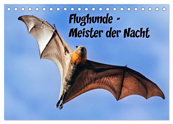 Produktbild: Flughunde - Meister der Nacht (Tischkalender 2026 DIN A5 quer), CALVENDO Monatskalender