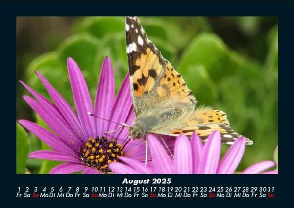 Produktbild: Blumentr&auml;ume 2025 Fotokalender DIN A5