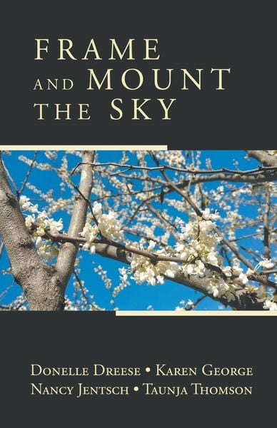 Produktbild: Frame and Mount the Sky