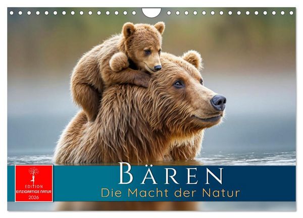 Produktbild: B&auml;ren - Die Macht der Natur (Wandkalender 2026 DIN A4 quer), CALVENDO Monatskalender