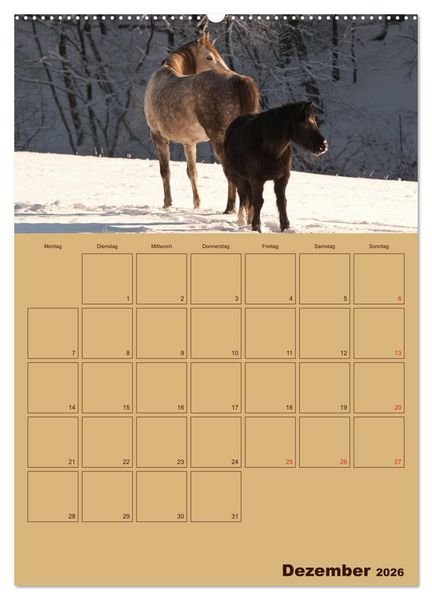 Produktbild: Pferde Gute Freunde (hochwertiger Premium Wandkalender 2026 DIN A2 hoch), Kunstdruck in Hochglanz