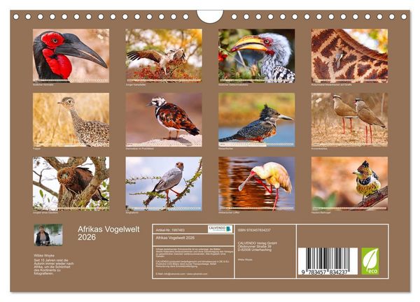 Produktbild: Afrikas Vogelwelt 2026 (Wandkalender 2026 DIN A4 quer), CALVENDO Monatskalender