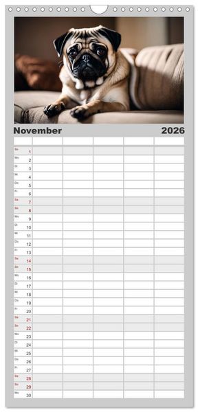 Produktbild: Familienplaner 2026 - M&ouml;pse - quirlige Charmebolzen mit 5 Spalten (Wandkalender, 21 x 45 cm) CALVENDO