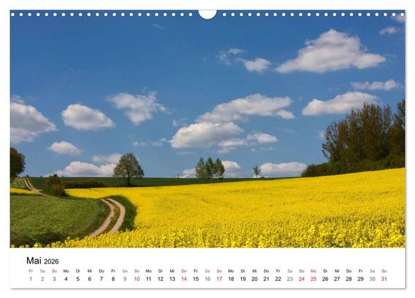 Produktbild: Rapsodie (Wandkalender 2026 DIN A3 quer), CALVENDO Monatskalender
