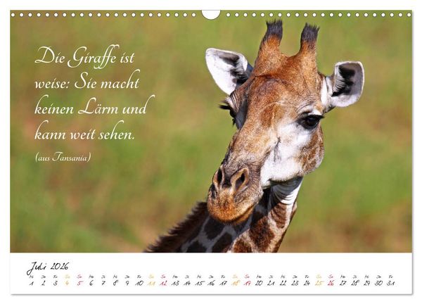 Produktbild: AFRIKA - Kontinent der Poesie (Wandkalender 2026 DIN A3 quer), CALVENDO Monatskalender