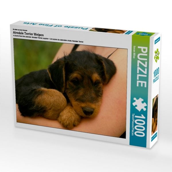 Produktbild: CALVENDO Puzzle Ein Motiv aus dem Kalender Airedale Terrier Welpen | 1000 Teile Lege-Gr&ouml;&szlig;e 64x48cm Foto-Puzzle f&uuml;r gl&uuml;ckliche Stunden