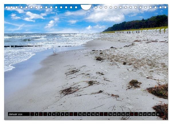 Produktbild: Fischland - Dar&szlig;- Zingst (Wandkalender 2026 DIN A4 quer), CALVENDO Monatskalender