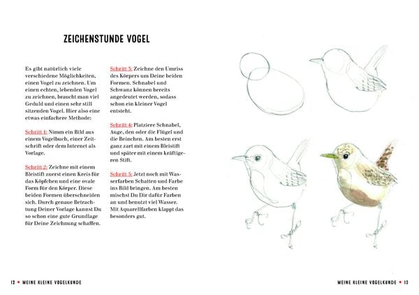 Produktbild: Meine kleine Vogelkunde