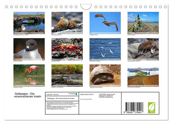 Produktbild: Gal&aacute;pagos - Die verwunschenen Inseln (Wandkalender 2026 DIN A4 quer), CALVENDO Monatskalender