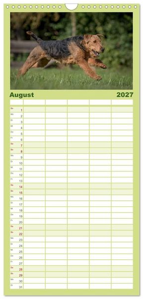 Produktbild: Familienplaner 2027 - Airedale-Terrier, was sonst! mit 5 Spalten (Wandkalender, 21 x 45 cm) CALVENDO
