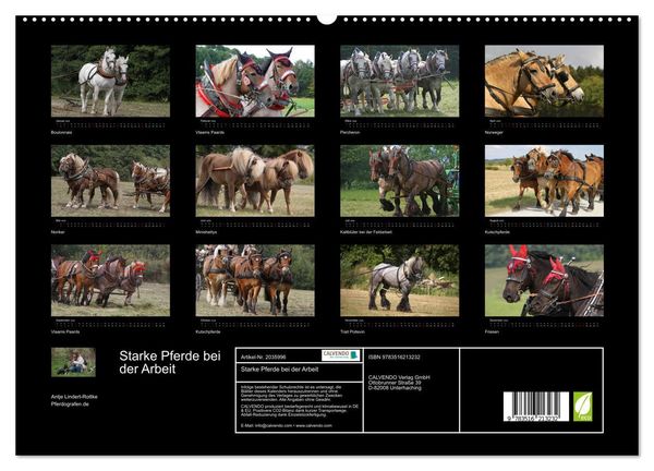 Produktbild: Starke Pferde bei der Arbeit (hochwertiger Premium Wandkalender 2026 DIN A2 quer), Kunstdruck in Hochglanz
