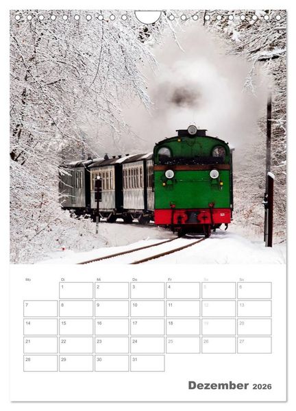 Produktbild: Typisch R&uuml;gen / Planer (Wandkalender 2026 DIN A4 hoch), CALVENDO Monatskalender