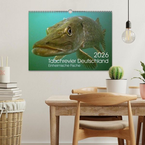Produktbild: Tauchrevier Deutschland (Wandkalender 2026 DIN A3 quer), CALVENDO Monatskalender