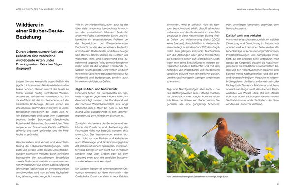Produktbild: Das gro&szlig;e BLV Handbuch Niederwild