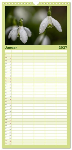 Produktbild: Familienplaner 2027 - Fr&uuml;hlingsbl&uuml;her - Farbenpracht nach dem Winter mit 5 Spalten (Wandkalender, 21 x 45 cm) CALVENDO