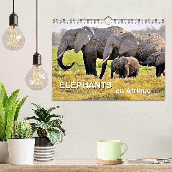 Produktbild: &Eacute;l&eacute;phants en Afrique (Calendrier mural 2026 DIN A4 vertical), CALVENDO calendrier mensuel