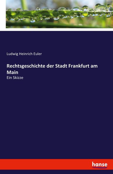 Rechtsgeschichte der Stadt Frankfurt am Main, Taschenbuch von Ludwig Heinrich Euler, Hansebooks, 9783743665187