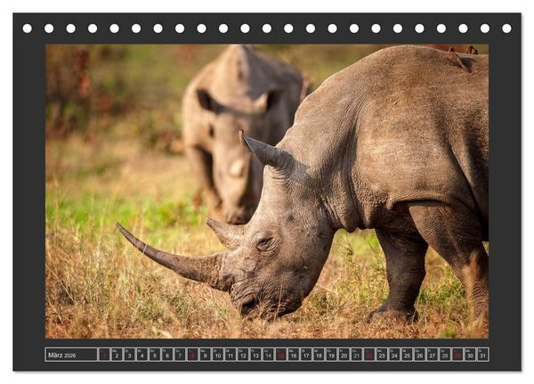 Produktbild: Das Wei&szlig;e Nashorn (Tischkalender 2026 DIN A5 quer), CALVENDO Monatskalender