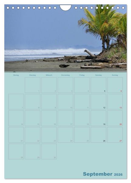 Produktbild: Karibik - Sonne, Strand und Palmen (Wandkalender 2026 DIN A4 hoch), CALVENDO Monatskalender
