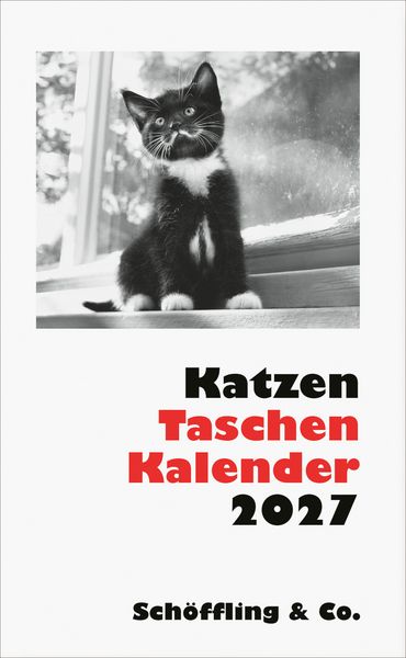 Produktbild: Katzen Taschenkalender 2027