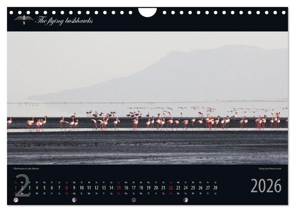 Produktbild: Tansania Blickwinkel 2026 (Wandkalender 2026 DIN A4 quer), CALVENDO Monatskalender
