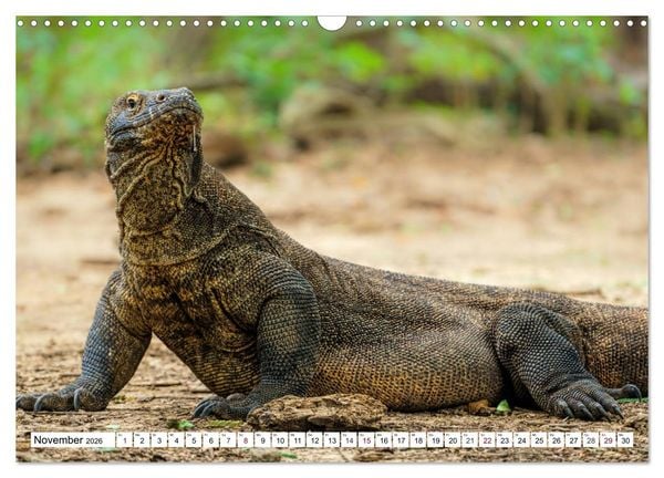 Produktbild: Indonesien - Inselparadies Flores & Komodo (Wandkalender 2026 DIN A3 quer), CALVENDO Monatskalender